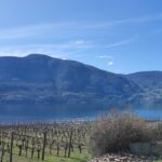 BC wine. Unrushed wine experiences. Okanagan Valley, Canada