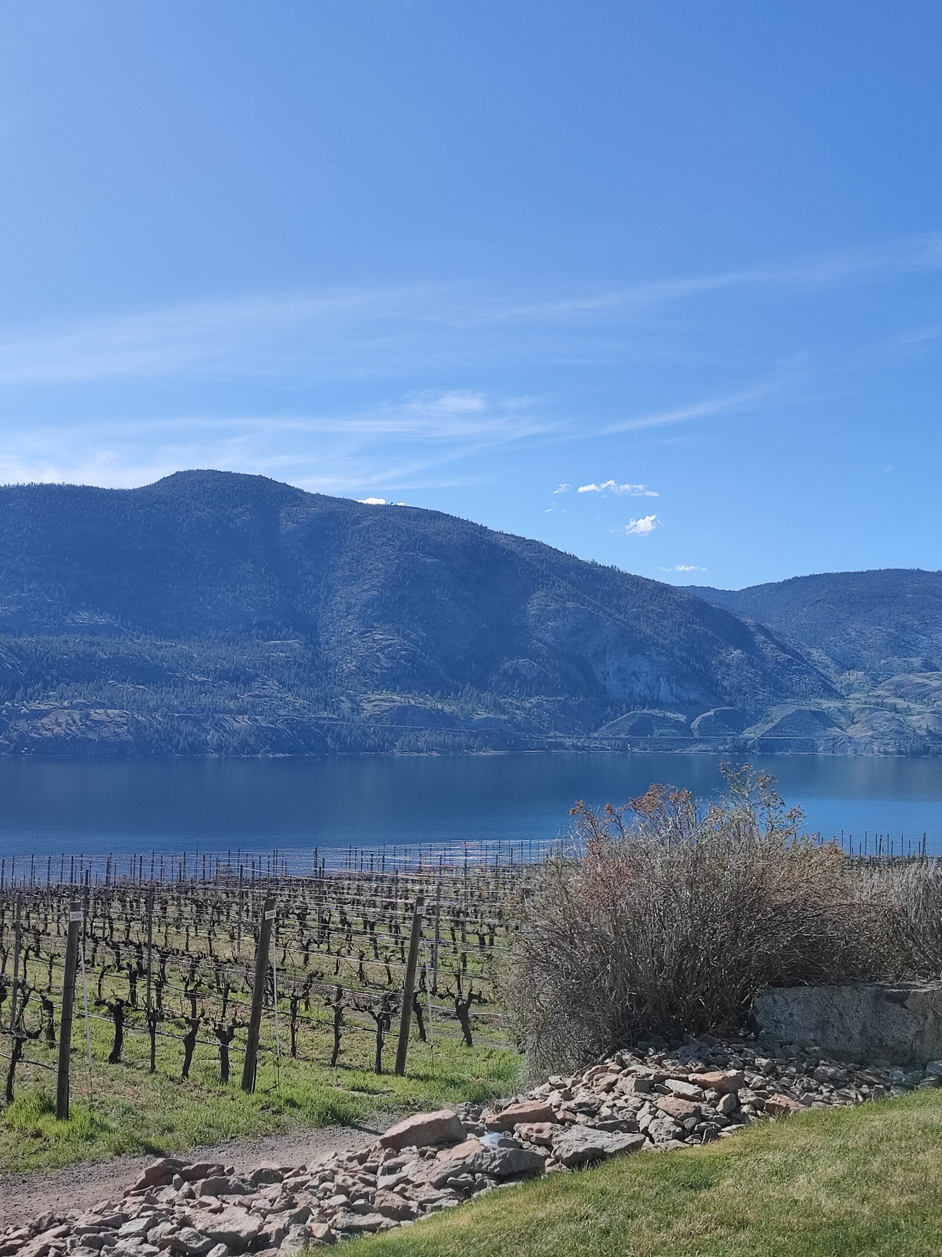 BC wine. Unrushed wine experiences. Okanagan Valley, Canada